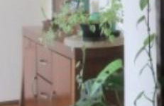 Três quartos Graça - Foto 26