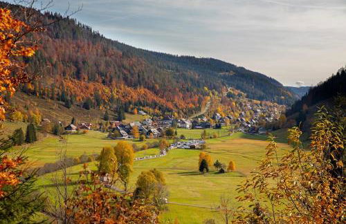 Galeriewohnung in Menzenschwand - Foto 9