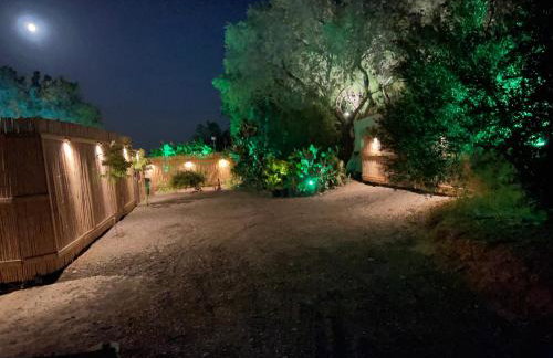 Nikkon Luxury Living - Foto 31