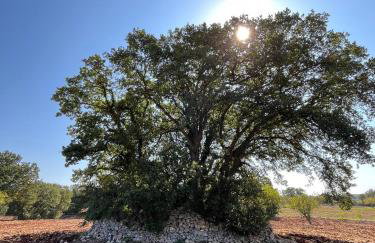 Trullo Dimora Podere Papilio - Foto 69