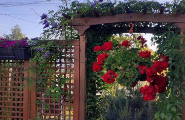 Noclegi Dobrzeń Wielki - Foto 9