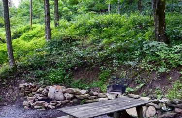 Cabin in the woods w/ WIFI close to Monongahela National Forest - Foto 9