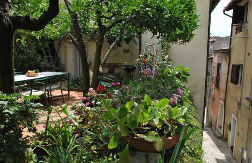 Giardino dei limoni nel Borgo di Maranola a Formia - Foto 19