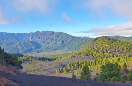 Finca Maracuya - Foto 22