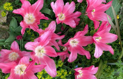 The Old Cheese Press, Eckington - Foto 34