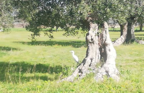 Le Grotte di Sileno - Foto 34
