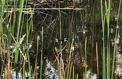 Fishers Of Men Ranch Home - Photo 60