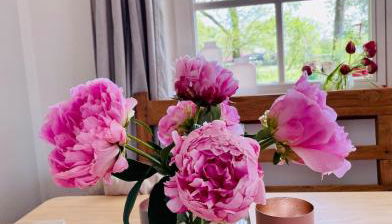 Casalottie - charmantes bayrisches Cottage am Starnberger See - Foto 5