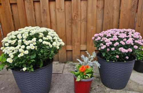 Warburg, FeWo "Sweet Home" 2,5 Zi- EG-separater Eingang - Parkplatz - Terasse- komfortabel,renoviert - Foto 28