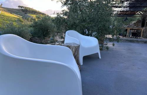 Quinta dos Piscos - Foto 28