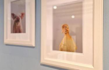 Stylish Little Bowden Retreat - Market Harborough - Foto 33