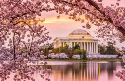 Pentagon Luxe Apartments Arlington - Near DC - Foto 22