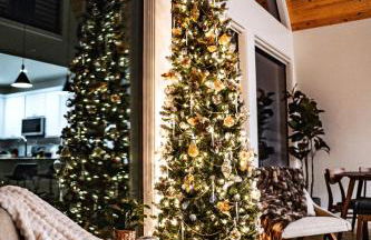 Gruene Daze Chalet - Stylish Aframe - Escape the Ordinary - Foto 36