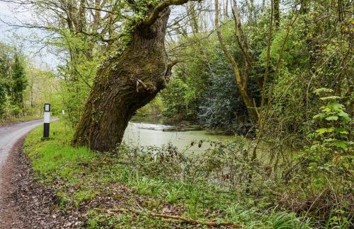 Wade Hall - Photo 32