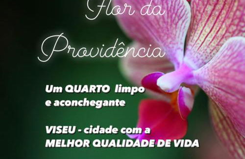 Flor da Providência - Foto 26