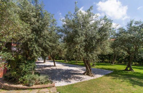 Case Rosse Suite - Foto 17