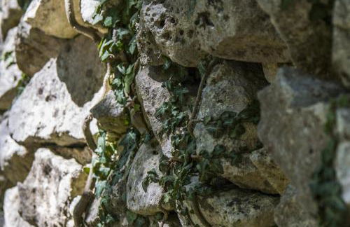 AGRITURISMO Case Catalano - Foto 9