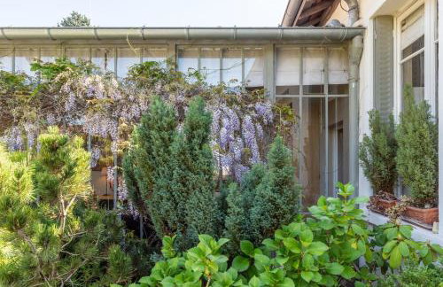 La belle vie charming house with pool - Foto 21