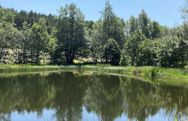 Ferienidylle Brunnersäge - Photo 21