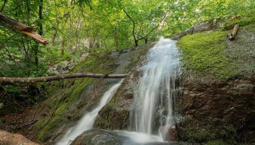 Hideaway Tiny Cabin, Hot Tub, View, Firepit - Foto 3