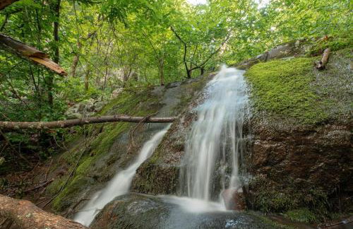 Hideaway Tiny Cabin, Hot Tub, View, Firepit - Foto 3