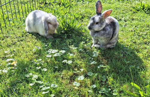 Christianshof - Foto 7