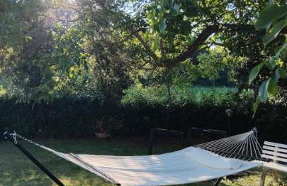 Agriturismo La Burraia vicino a San Gimignano-Air conditioning-EV wallbox - Foto 39