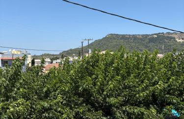 House of Helios - Photo 13