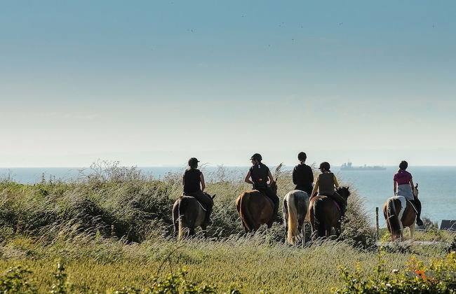 Les Cabanes de Warincthun - Foto 6