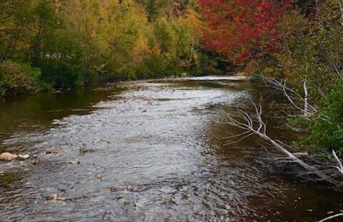 Quiet, Convenient Studio Andover Merrimack Valley - Foto 9