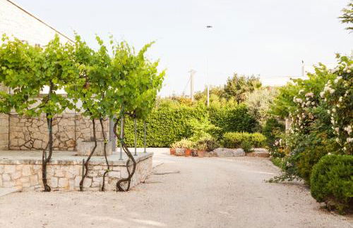 Masseria Lacatena - Foto 48