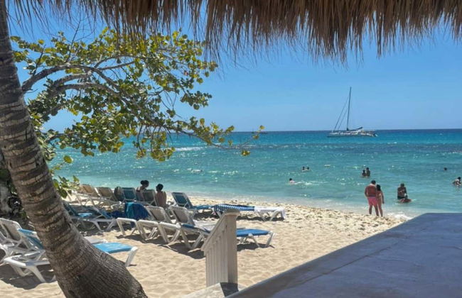 Catalina Island & Chavon River Day Trip - Foto 6