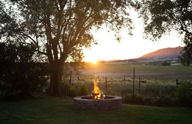 Denneboom Vineyards and Wildlife - Foto 44