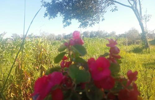 La Casa de la Abuela - Foto 12