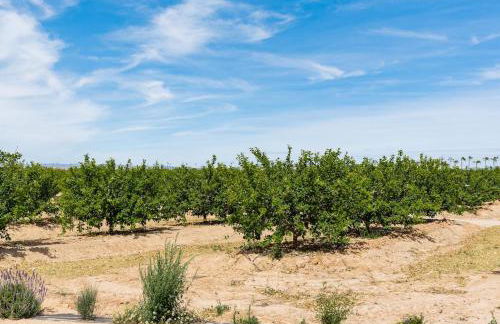 La Terraza Azul - las terrazas de la torre - regio murcia - Foto 39
