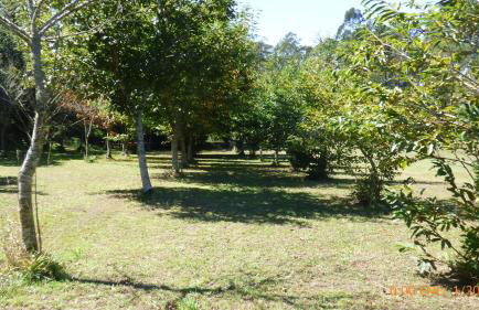 Mar do Val - Foto 26