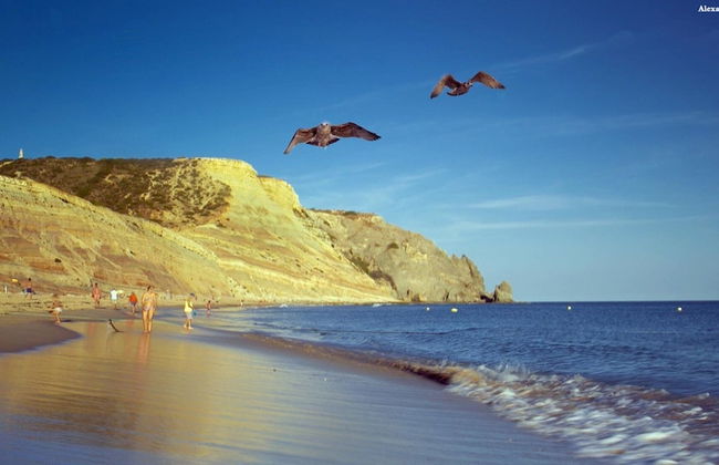 B27 - Luzbay 2 Bed Apartment - Foto 38