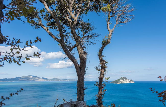 Artina Luxury Villa - Photo 64