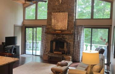 Beech Mountain Swiss-style Chalet - Foto 24