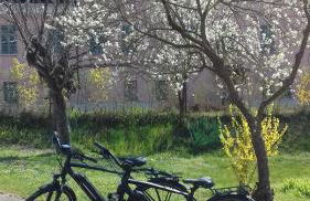 Agriturismo Casa Matilde - Foto 21