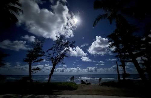 Islander on the Beach 249 - Photo 19