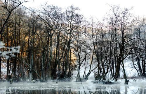 Fewo Waldfeeling - Photo 29