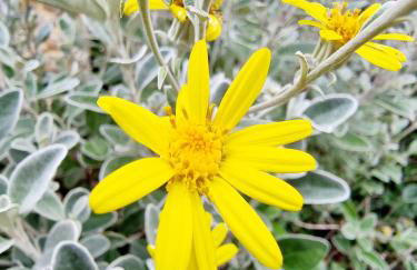 The Silverstone House. Comfort, Convenience and no hassle at the doorstep of Silverstone Race Circuit. - Photo 29