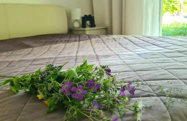 Żurawie gniazdo, elegancki zakątek w Puszczy Białowieskiej - Foto 7