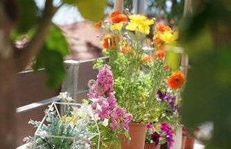 Giannata House - Foto 11