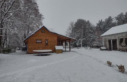 Kolorowe Wzgórze agroturystyka i konie - Foto 4