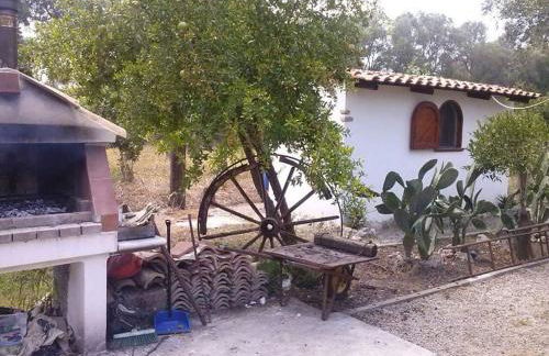 L' Agrumeto - Photo 42