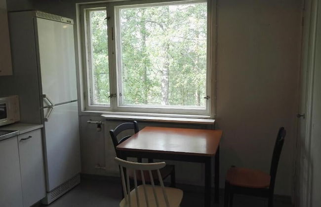 Saimaa Hirsilinna - Foto 9