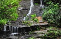 Cochran Farm House - Foto 21