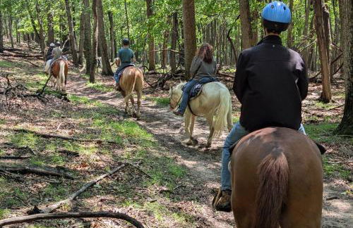 Ma-ple Haven --Wifi, Fireplace, Deck, Fire Pit, Family Friendly, Game Room, Pool Access - Foto 66